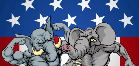 T.W. Shannon Dominant in LG Contest